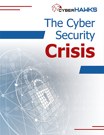 Cyber Security Crisis