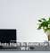 Houseplants Might Be Behind Your Sluggish Wi-Fi